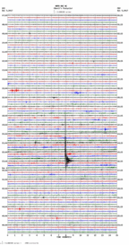 seismogram thumbnail