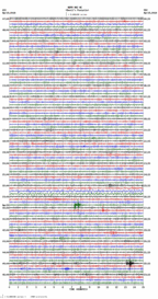 seismogram thumbnail