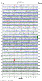 seismogram thumbnail