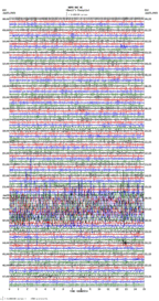 seismogram thumbnail