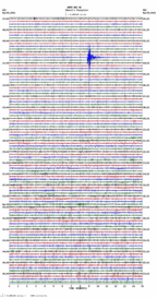 seismogram thumbnail