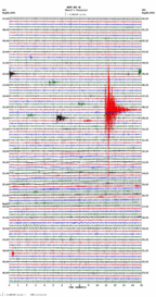 seismogram thumbnail