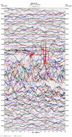 seismogram thumbnail