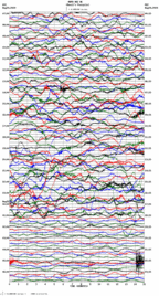 seismogram thumbnail