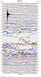 seismogram thumbnail