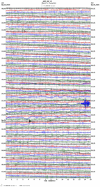 seismogram thumbnail