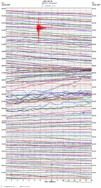 seismogram thumbnail