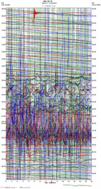 seismogram thumbnail