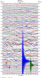 seismogram thumbnail