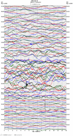 seismogram thumbnail