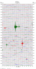 seismogram thumbnail