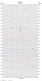 seismogram thumbnail