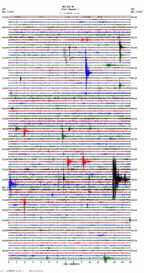 seismogram thumbnail