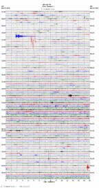 seismogram thumbnail