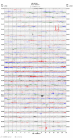 seismogram thumbnail