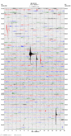 seismogram thumbnail