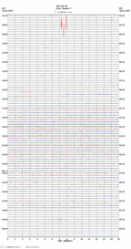 seismogram thumbnail