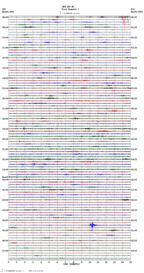 seismogram thumbnail