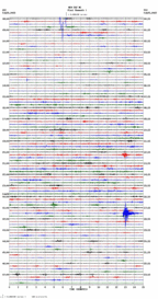 seismogram thumbnail