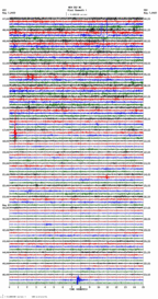 seismogram thumbnail