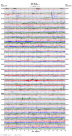 seismogram thumbnail