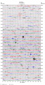 seismogram thumbnail