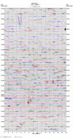 seismogram thumbnail