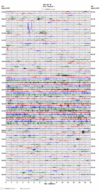 seismogram thumbnail