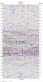 seismogram thumbnail