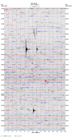 seismogram thumbnail