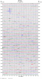 seismogram thumbnail