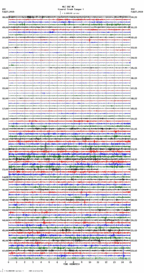 seismogram thumbnail