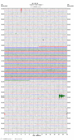 seismogram thumbnail