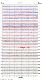 seismogram thumbnail