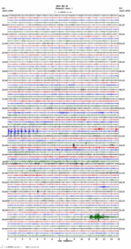 seismogram thumbnail