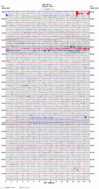 seismogram thumbnail