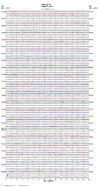 seismogram thumbnail