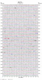 seismogram thumbnail