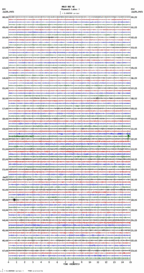 seismogram thumbnail