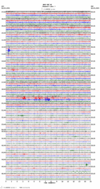 seismogram thumbnail