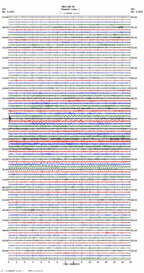 seismogram thumbnail