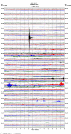 seismogram thumbnail