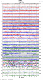 seismogram thumbnail