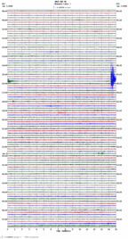 seismogram thumbnail