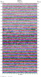seismogram thumbnail