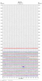 seismogram thumbnail