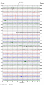 seismogram thumbnail