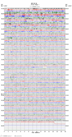 seismogram thumbnail