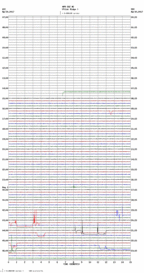 seismogram thumbnail