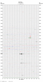 seismogram thumbnail